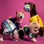 Adidas presenta ropa para mascotas