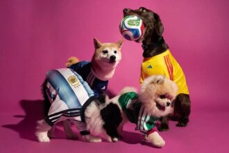 Adidas presenta ropa para mascotas