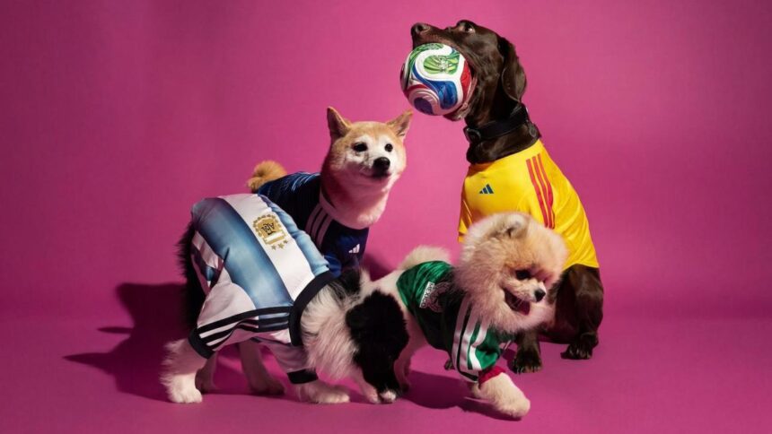 Adidas presenta ropa para mascotas