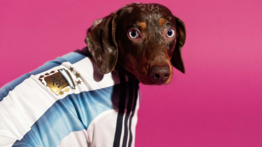 Jerseys para mascotas del Mundial 2026