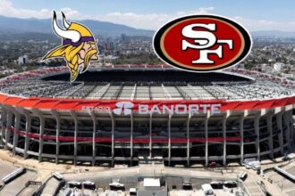 Minnesota Vikings