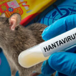 Alertan por hantavirus tras brote en crucero; Salud refuerza vigilancia en México