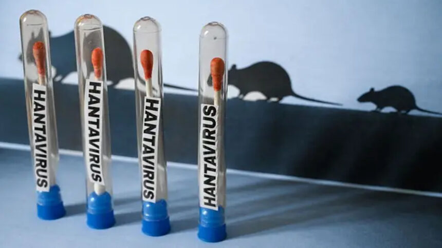 Diferencias entre hantavirus