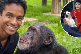 Niegan visita de Jaafar Jackson a Bubbles