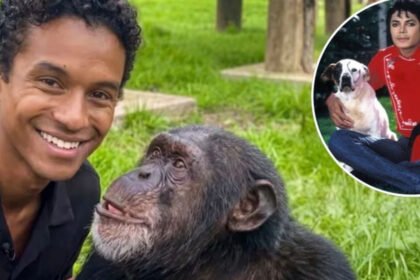 Niegan visita de Jaafar Jackson a Bubbles
