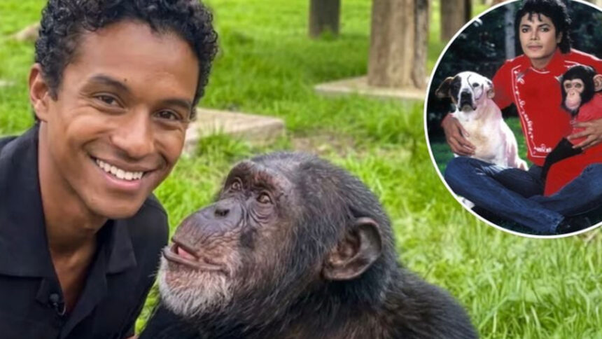 Niegan visita de Jaafar Jackson a Bubbles