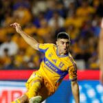 Tigres