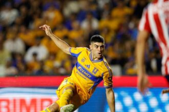 Tigres