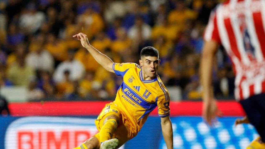 Tigres