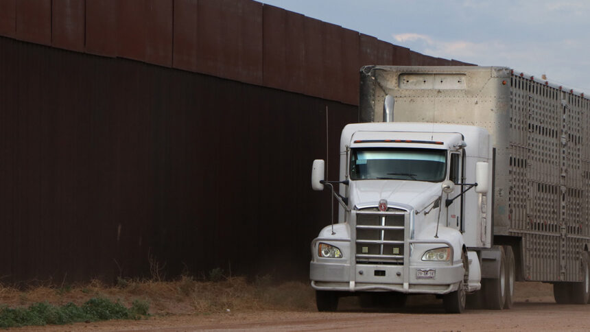 México fortalece la protección sanitaria tras reportes de gusano barrenador en Estados Unidos