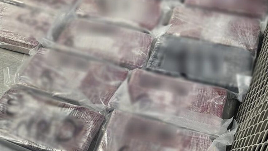 Aseguran 165 kilos de cocaína en Aeropuerto de Tijuana; hay 11 detenidos