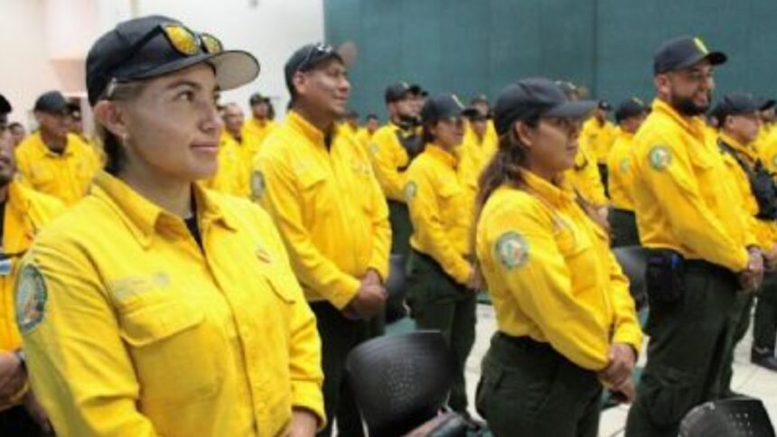 Brigada mexicana viaja a Canadá para reforzar el combate contra cientos de incendios forestales
