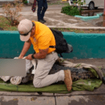 Seguridad Pública Municipal