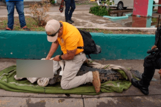 Seguridad Pública Municipal