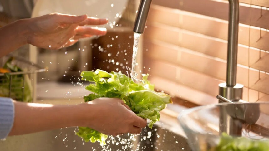 Desinfectar la lechuga