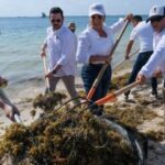 Invierten 777 millones de pesos para combatir el sargazo en Quintana Roo