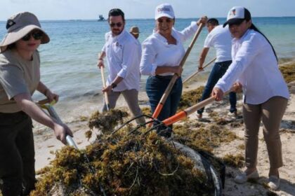 Invierten 777 millones de pesos para combatir el sargazo en Quintana Roo