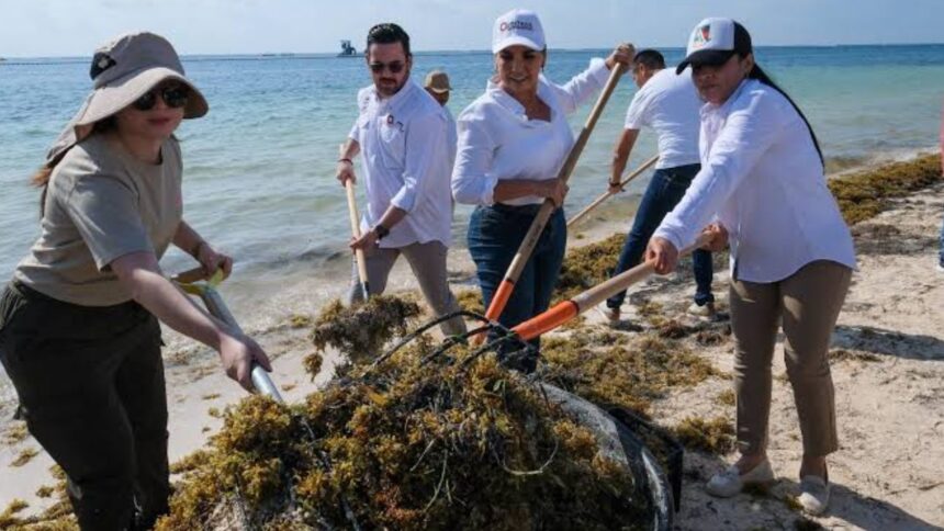 Invierten 777 millones de pesos para combatir el sargazo en Quintana Roo