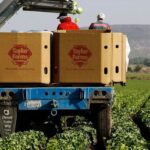Taylor Farms en México
