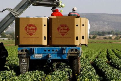 Taylor Farms en México