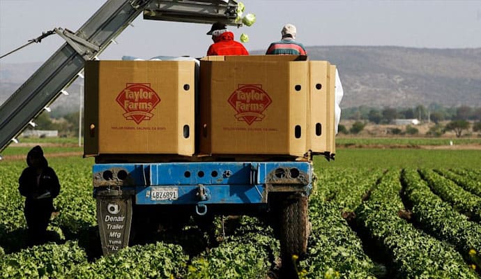 Taylor Farms en México