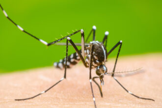 Casos de dengue en México disminuyen 30%; Salud advierte repunte en 2027