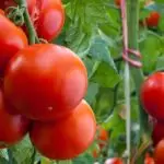 EU mantiene arancel antidumping al tomate mexicano; USITC determina que no hay cambios para retirarlo