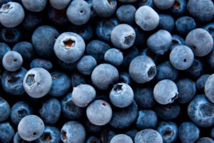 FDA ordena retiro de moras congeladas por posible contaminación con E. coli; emite alerta a consumidores