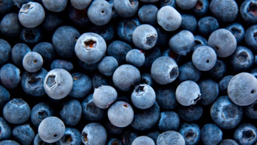 FDA ordena retiro de moras congeladas por posible contaminación con E. coli; emite alerta a consumidores