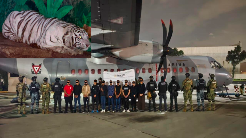 Operativo contra el CJNG en Hidalgo, Jalisco y Michoacán