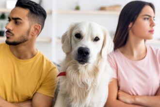 Proponen pensión para mascotas en CDMX tras separación de parejas