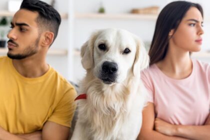 Proponen pensión para mascotas en CDMX tras separación de parejas