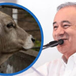 Sonora reabre exportación de ganado