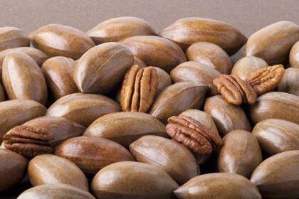 nueces pecanas
